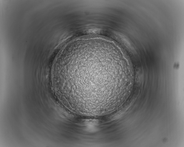 X0000097640363200803071558