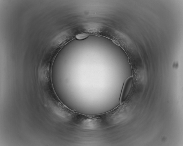 X0000097640364200803071558