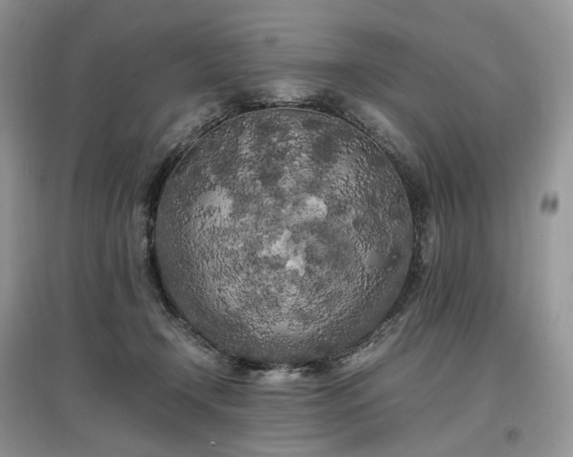 X0000097640366200803071558