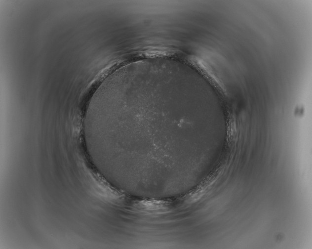 X0000097640367200803071558