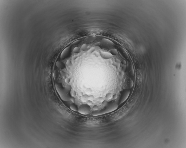 X0000097640369200803071558