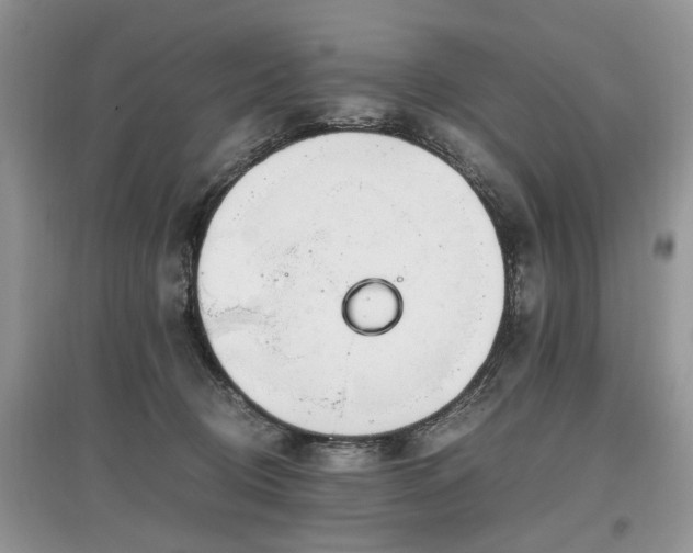 X0000097640370200803071558