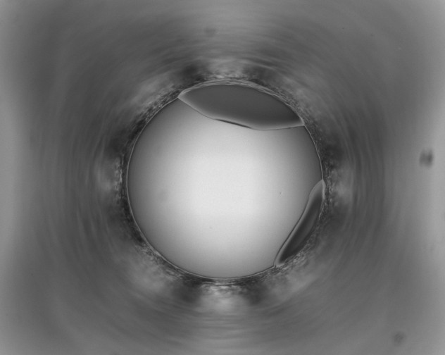 X0000097640372200803071558