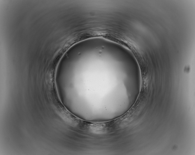 X0000097640373200803071558