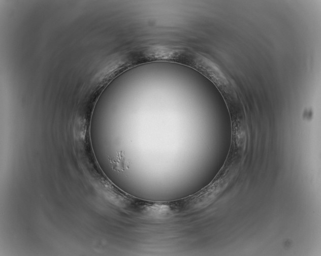 X0000097640374200803071558