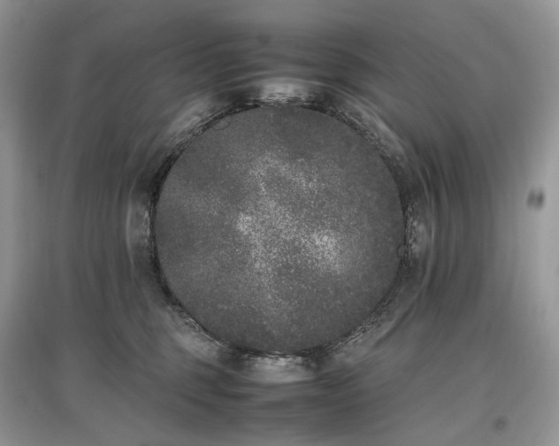 X0000097640375200803071558