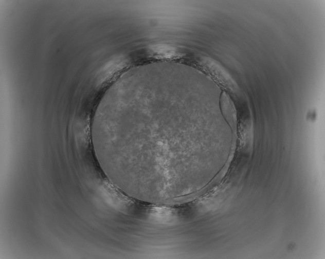 X0000097640376200803071558