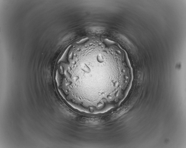 X0000097640377200803071558