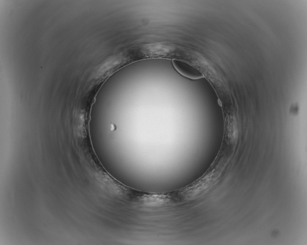 X0000097640378200803071558