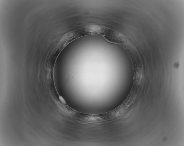 X0000097640379200803071558