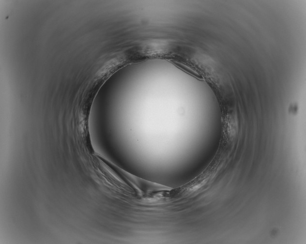 X0000097640380200803071558