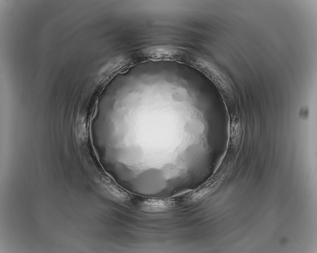 X0000097640381200803071558