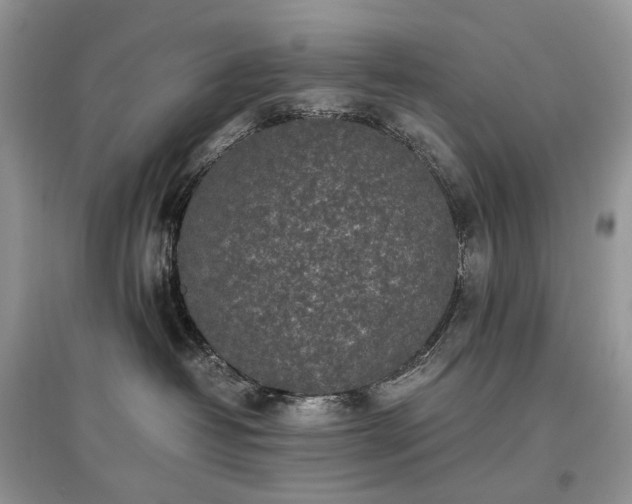 X0000097640382200803071558