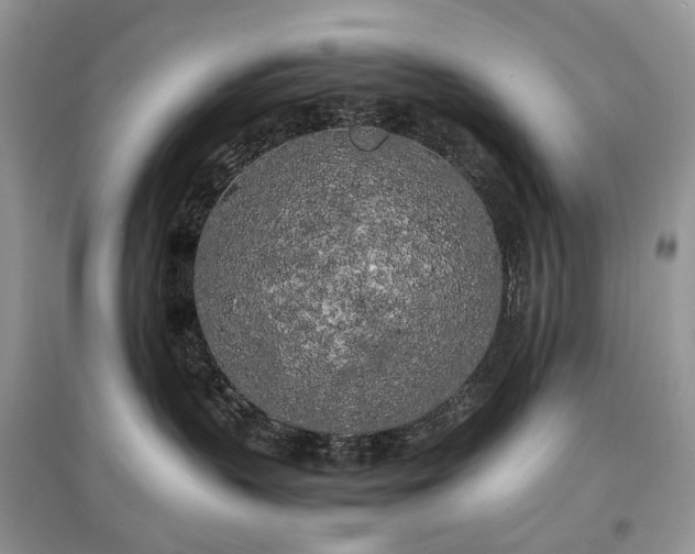 X0000097640383200803071558