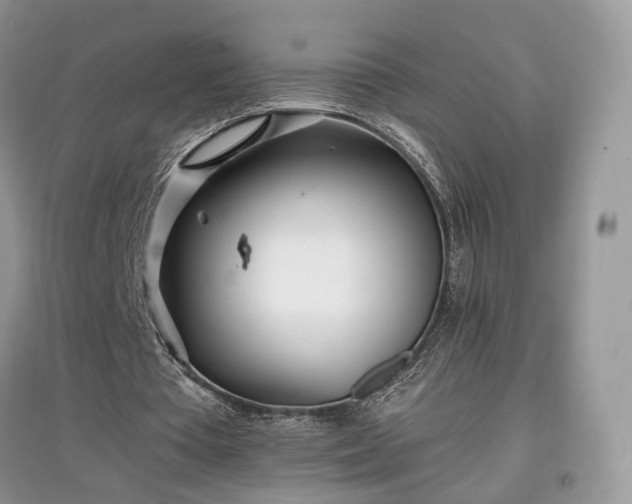 X0000097640385200803071557