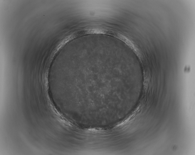 X0000097640386200803071557