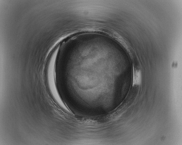 X0000097640387200803071557