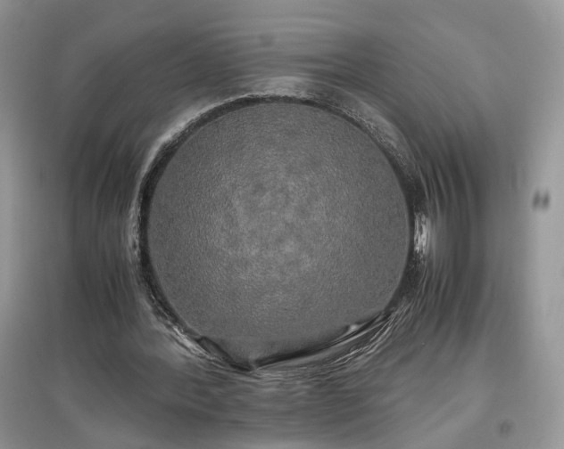 X0000097640388200803071557