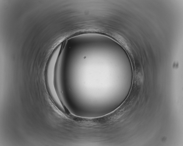 X0000097640389200803071557