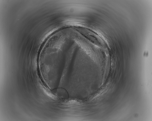 X0000097640390200803071557