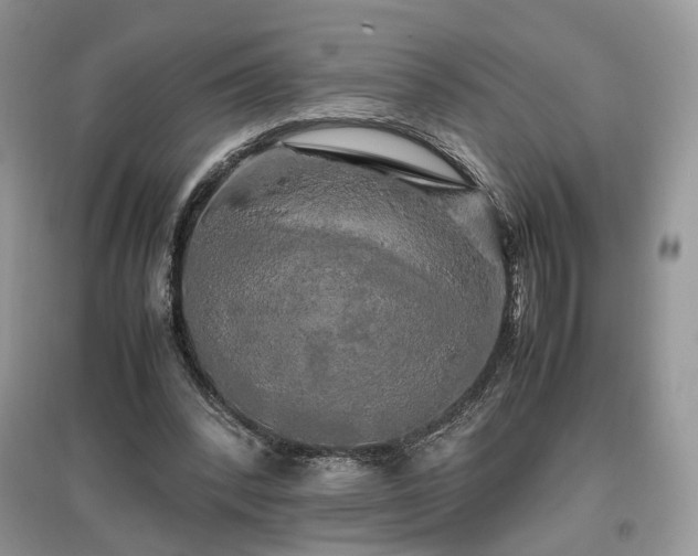 X0000097640392200803071557