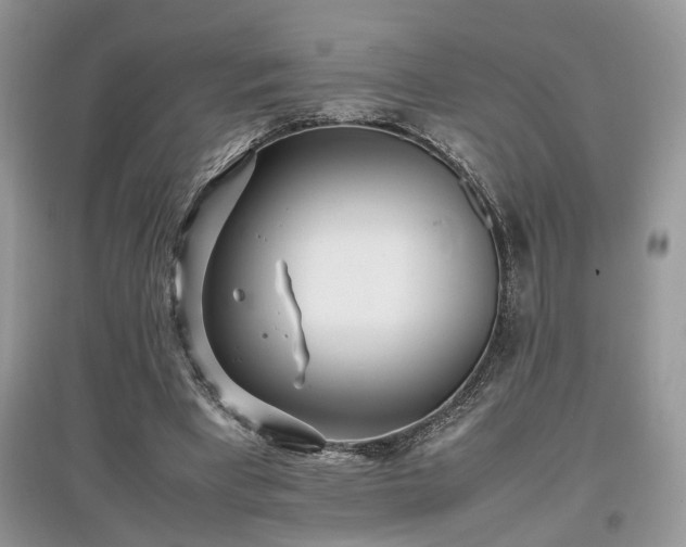 X0000097640393200803071557