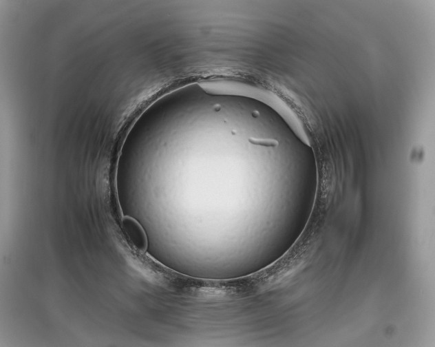 X0000097640394200803071557