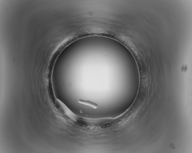 X0000097640395200803071557