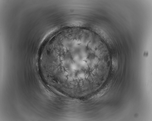 X0000097640396200803071557
