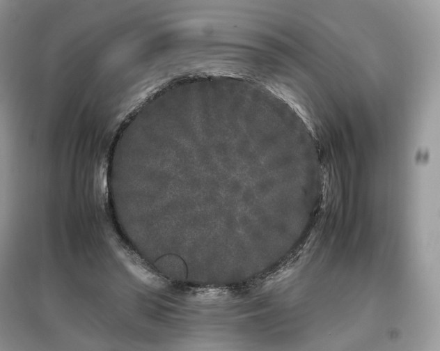 X0000097640398200803071557