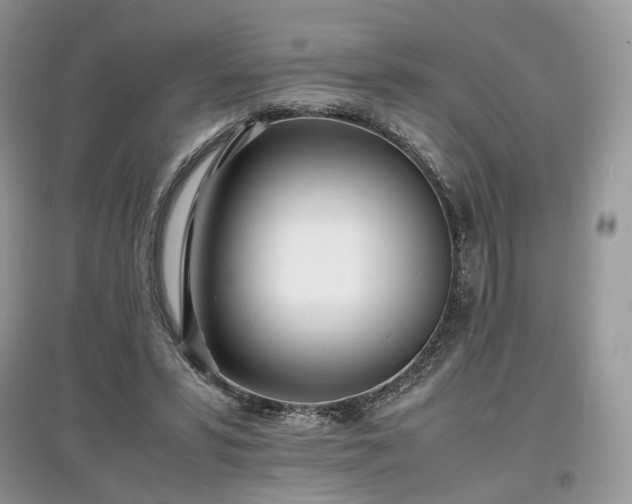 X0000097640399200803071557