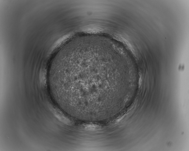 X0000097640400200803071557