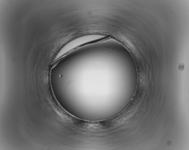 X0000097640401200803071557