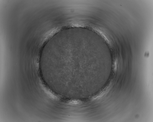 X0000097640402200803071557