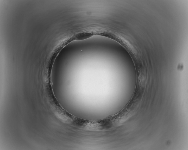 X0000097640403200803071557