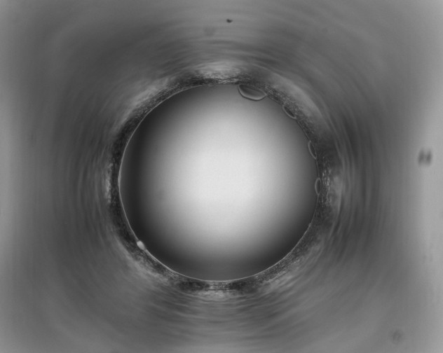 X0000097640404200803071557