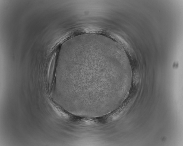 X0000097640405200803071557