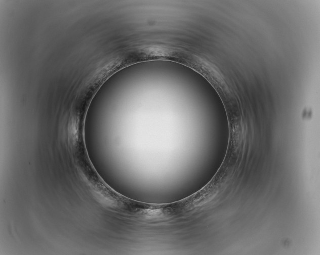 X0000097640406200803071557