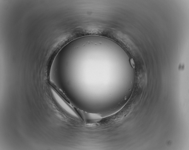 X0000097640407200803071557