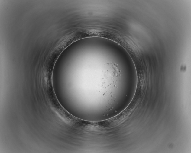 X0000097640408200803071557