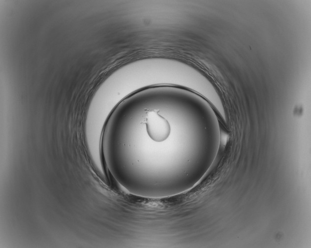 X0000097640409200803071557