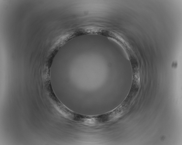 X0000097640411200803071557