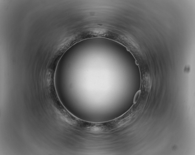 X0000097640412200803071557