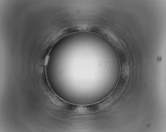 X0000097640413200803071557