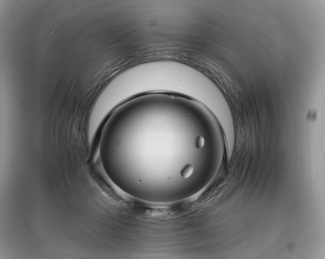 X0000097640414200803071557