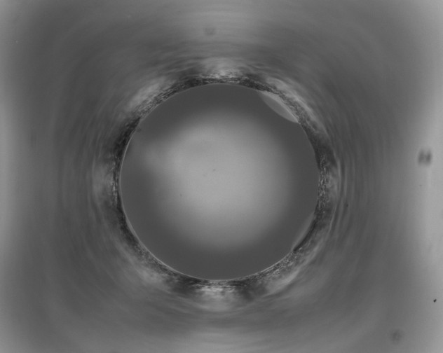 X0000097640415200803071557