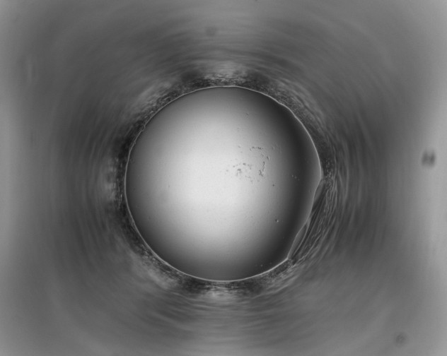 X0000097640416200803071557