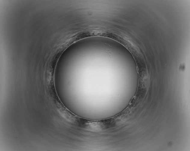 X0000097640417200803071557