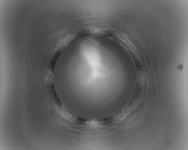 X0000097640419200803071557