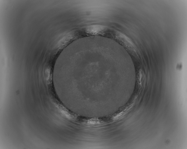 X0000097640420200803071557